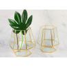 Buy cheap Hexagonal glass artifact bottle greenhouse Nordic gold copper lamp strip glass candle holder hexagonal decorete from wholesalers