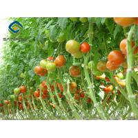 Buy cheap Large Size Tomato Plant Greenhouse Galvanized Steel Skeleton Materials product