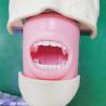 Buy cheap Professional Dental Students Simulator Training Model Medical Science Dental Phantom Head Model from wholesalers