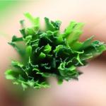 Polypropylene PE Artificial Grass Yarn Synthetic For Landscape 5500 Dtex