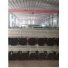 Buy cheap Q235 Carbon Steel Rolled And Welded Pipe , Galvanized Steel Pipe For Greenhouse from wholesalers