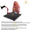 Buy cheap Portable LED Video Dance Floor for Party Night Club Stage Church SMD5050 RGB 3 in 1 from wholesalers