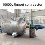 10000L Limpet Coil Reactor Tanks Vessel Stainless Steel Reactor for High-