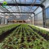 Buy cheap Blackout Greenhouse For Medical Plants from wholesalers