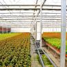 Buy cheap Affordable Commercial Greenhouse for Vegetables or Flowers Samples US 20/Square Meter from wholesalers