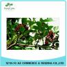 Buy cheap 100% Natural Elderberry Extract Powder 10:1 20:1 from wholesalers