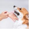 Buy cheap Bristle Silicone Dog Cleaning Tool Teeth Cleaning Dog Oral Care Finger Pet Toothbrush from wholesalers