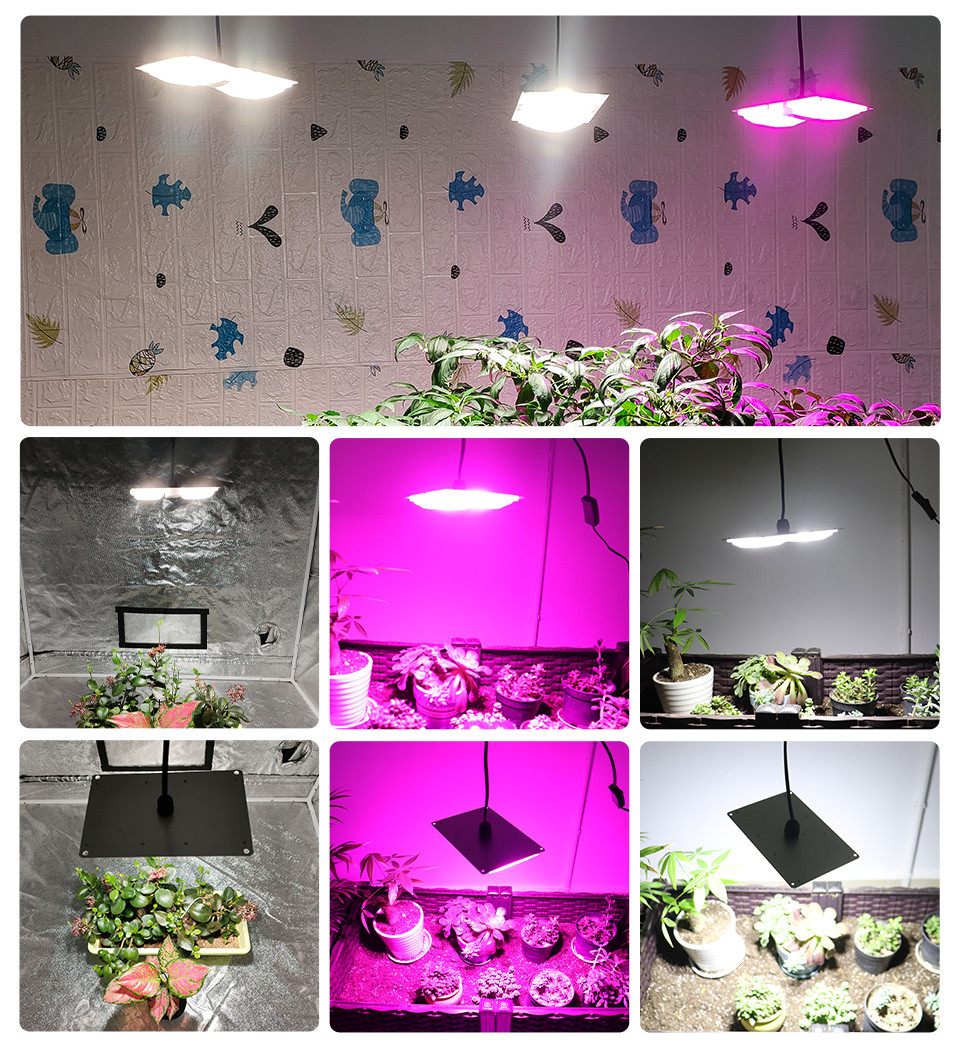 220V 3500K Light Bar Module LED Plant Lamp For Indoor Planth Flowers