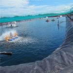 Aquaculture Anti-Seepage Pond Liner HDPE Geomembrane 1mm-2mm with 5-Year Service