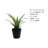 Buy cheap Mini Artificial Agave Americana Artificial Bonsai Plants 18 CM 25 CM High Simulation from wholesalers