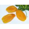 Buy cheap IQF Frozen Baked Sweet Potato Slice, variety of 696 from wholesalers