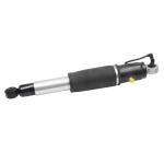 Global Market Air Suspension Shock Absorber