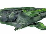 Green Kelp Sprouts Rich Umami Flavor Dried Japanese Kombu Laminaria Japonica