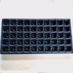 50 cells Plastic blister thermoforming vacuum PVC flower tree seedlings