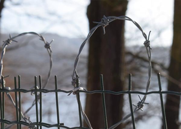 Buy cheap Garden Anti-Theft Anti Climb hot dip Galvanized Barbed Wire Roll from wholesalers