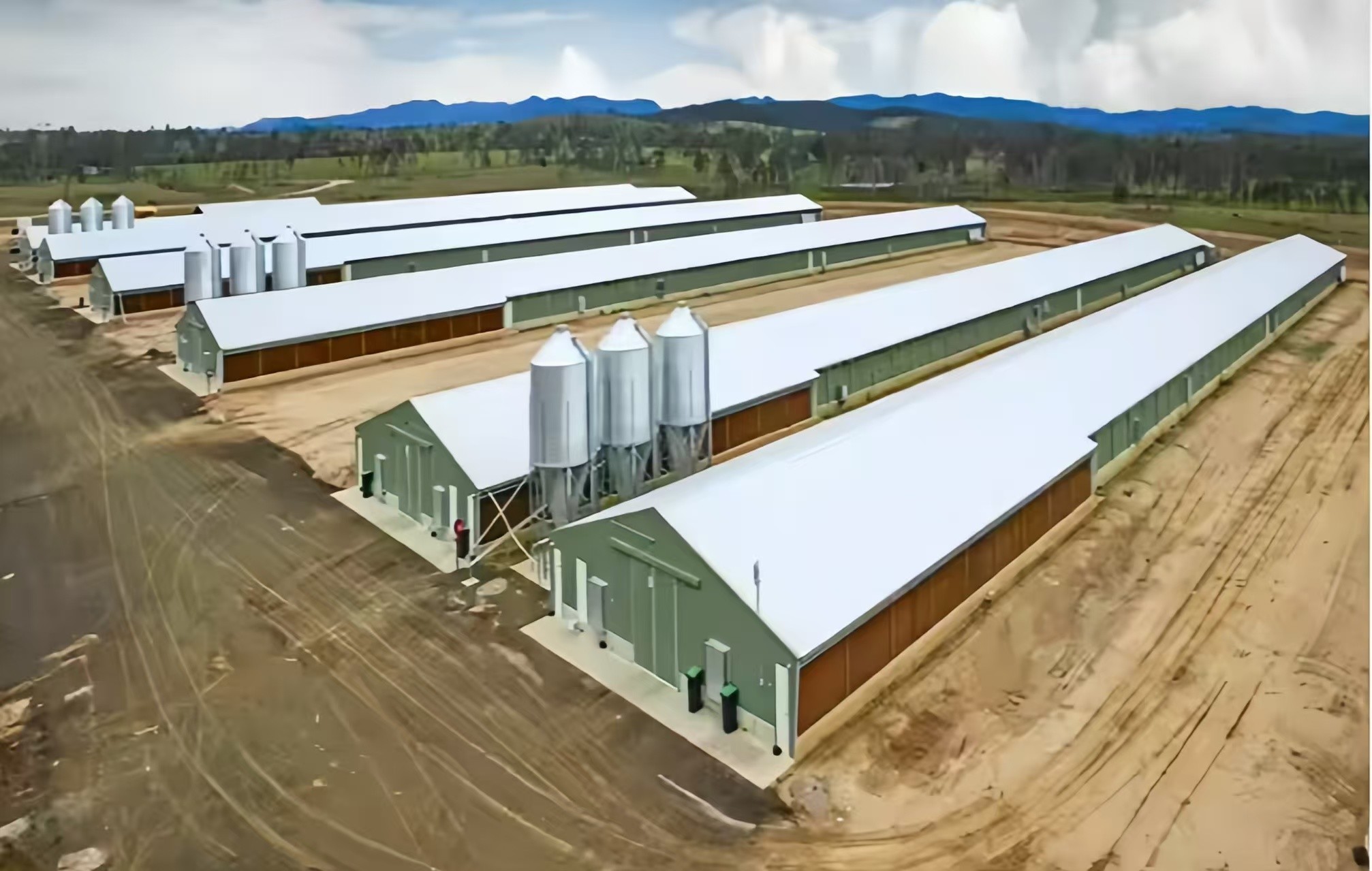 Easy Install Prefabricated Steel Frame Houses Fully Automated Chicken Farming Equipment