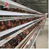 Buy cheap Sturdy Q235A 4 Tier A Type Egg Layer Chicken Cage For Poultry Farm from wholesalers