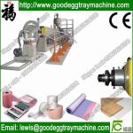 Location fix pacakge EPE Foam Sheet Extrusion Plant(FCFPM-120)