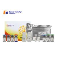 Buy cheap Strong Sensitivity ASB2 Sandwich ELISA Kit 96 Wells / 48 Wells For Research 2 - product