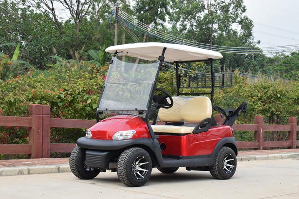 2 Person Electric Golf Carts Club Electric Buggy With Golf Bag Bracket With CE