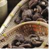 Buy cheap Healthy Dry Shiitake Mushroom 1kg Smooth Surface 2 Years Shelf Life from wholesalers