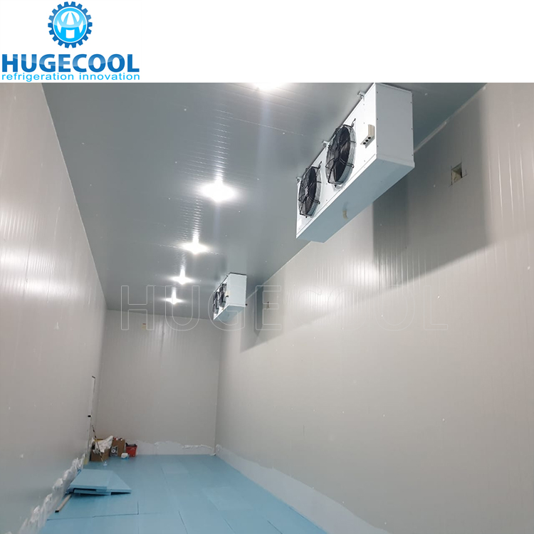 walk in freezer high productivity food storage cold room