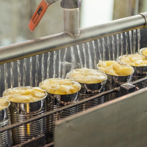Buy cheap Leadworld Canned Fruit Production Line For Canning Pineapples from wholesalers