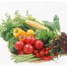 Buy cheap Sugarcane Banana Avocado Ginger Onion Sweet Potato Vegetable Washing Machine from wholesalers