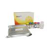Buy cheap 96 Wells High Sensitivity Human Corticotropin Releasing Hormone ELISA Kit from wholesalers