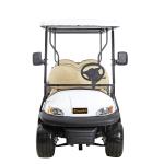 48V 8 Seats Battery Powered Electric Golf Sightseeing Shuttle Bus With Curtise