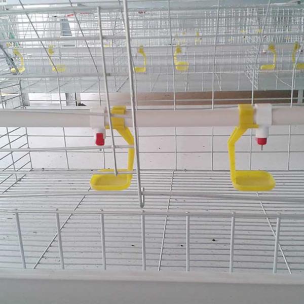 Buy cheap Custom Commercial Meat Chicken Cages, Durable Chick Breeding Cage from wholesalers