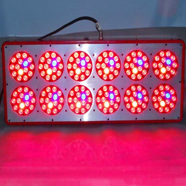 Buy cheap 540w LED Grow Light Full Spectrum for Greenhouse and Indoor Plant Flowering and Growing from wholesalers