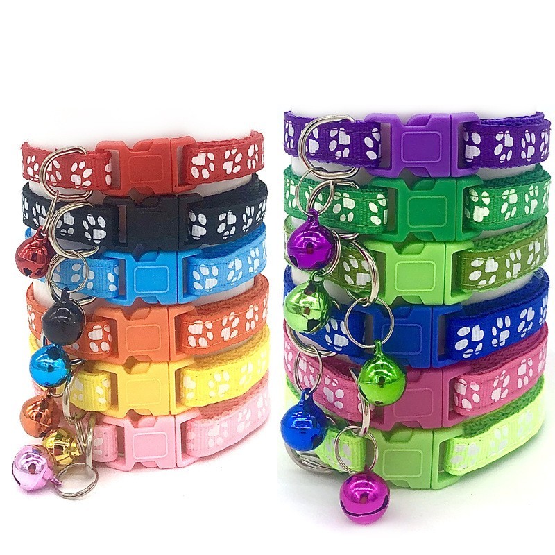 large cat collar