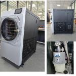 Small Vacuum Home Freeze Dryer Machine Food 10KG Air Cooling