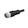 Buy cheap 12mm Metric 300V 13A Molded Straight Cable 7/8" Male 5 Pin from wholesalers