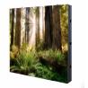 Buy cheap P3 P4 P5 led video wall led display outdoor Outdoor waterproof iron box Waterproof billboard waterproof display screen from wholesalers