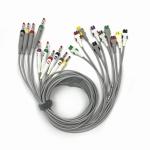 2104724-002 ECG Leadwires and Trunk Cables 10 leads