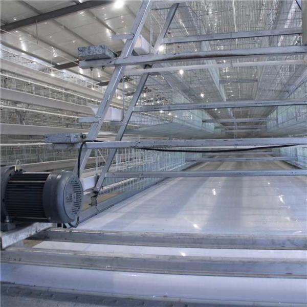 Buy cheap High Durability Automated Poultry Equipment , Efficient Poultry House Equipment from wholesalers