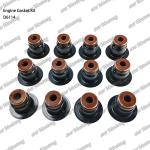 Full Gasket Kit D6114 Engine Part