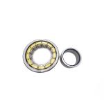 NU NJ Single Row Cylindrical Roller Bearing NF1007 1008 1009 NJ207 35x72x17mm