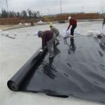 0.5mm 1mm 1.5mm 2mm HDPE Geomembrane for Fish Pond Liners in Industrial Design