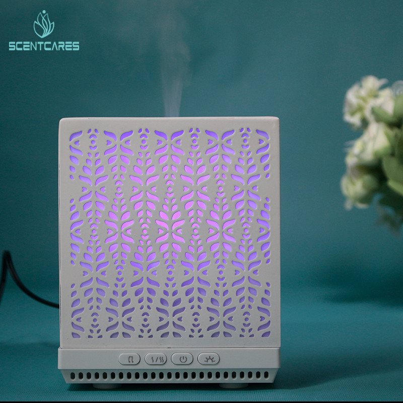 Ultrasonic Iron Cool Mist 100ML Essential Oil Diffuser