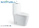 Sanitary Ware Washdown One Piece Toilet 660*395*775mm Size SWS21611