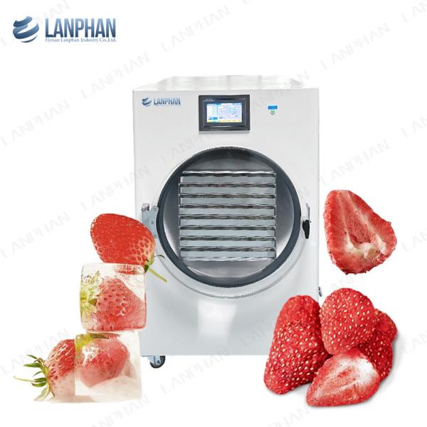 Buy cheap 40kg Berries Fruit Vacuum Freeze Dryer Lyophilizer Candy Cucumber 8 Trays Freeze Dry Machine from wholesalers