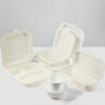 Microwave disposable lunch box corn strach fast food clamshell box 3 compartment
