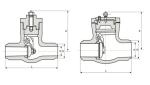 Power Station Check Valve