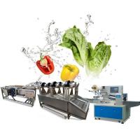 Buy cheap Industrial Air Bubble Ozone Fruit Vegetable Washing Machine product