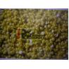 Buy cheap Steel Belt Pastillator Sulphur Pelletizer For Sulfur Automatic Stable Performance from wholesalers
