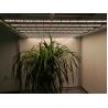 Buy cheap High PPFD 3.1umol/J 1000Watt UV Grow Light from wholesalers