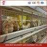 Buy cheap Automatic H Type Meat Broiler Chicken Cage 84 Birds Poultry Farm Equipment Mia from wholesalers